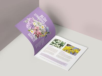 03_Broschuere-Steiner-Sabrina_web