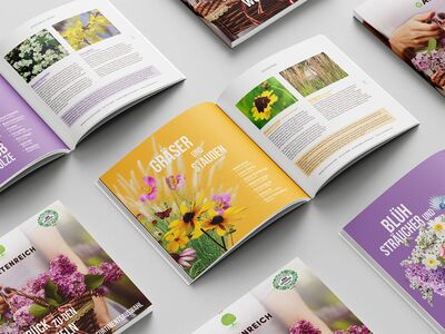 03_Broschuere-Gartenreich_web